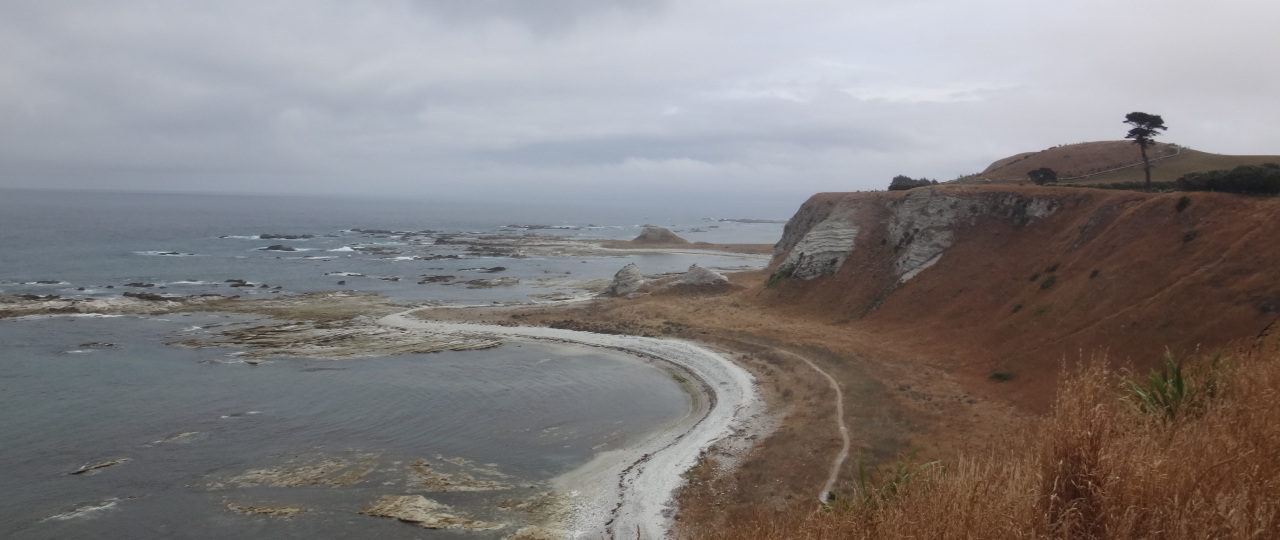 Küste von Kaikoura