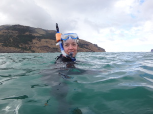 Steffi beim Delfinschwimmen