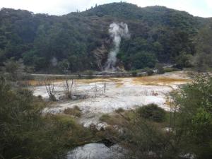 Dampfende Sumpflandschaft