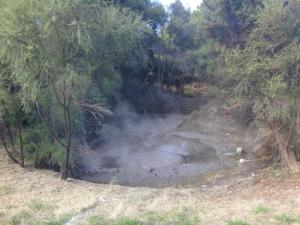 thermale Pools Rotorua