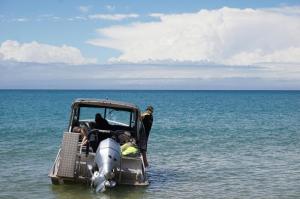 wassertaxi abel tasman