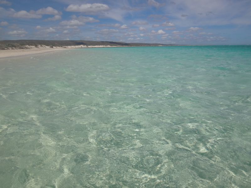 Tuorquoise Bay Meer