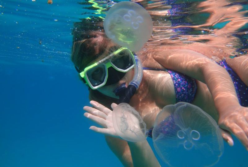 Whaleshark Tour Steffi  mit Quallen