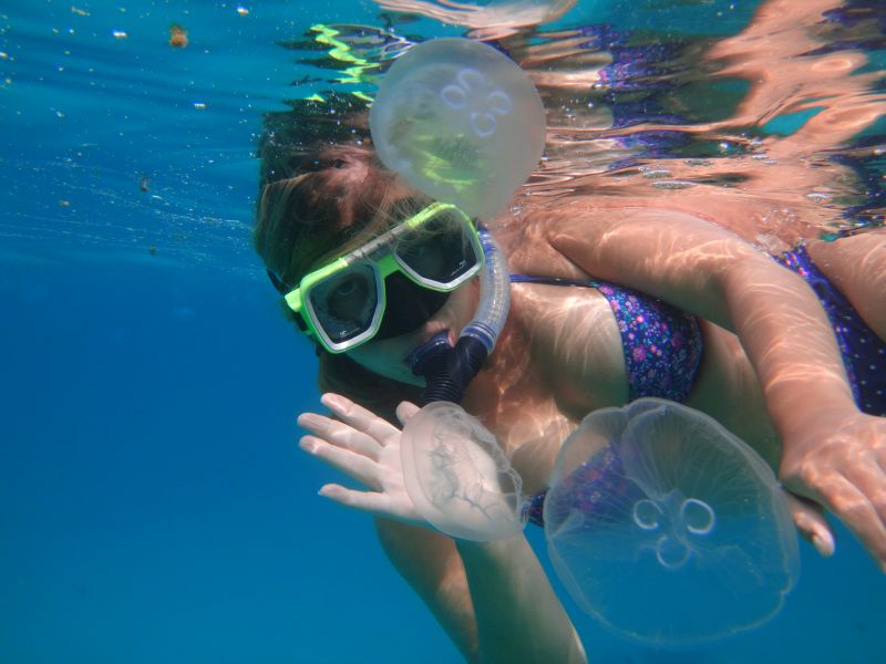 Morning-snorkel
