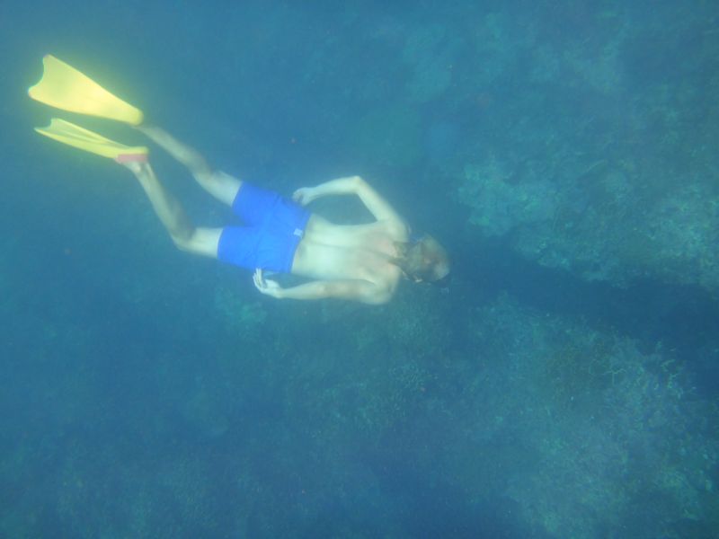Afternoon-Snorkel