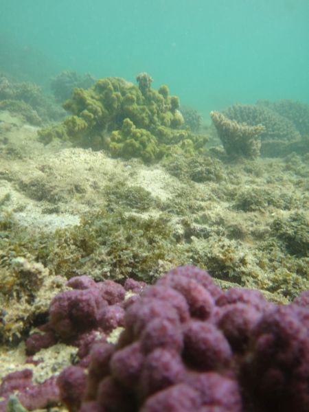 Quobba Point (Aquarium)