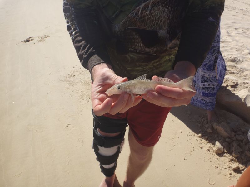 Mein erster gefangener Fisch