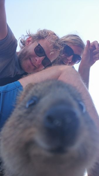 Ich, beide und der Quokka
