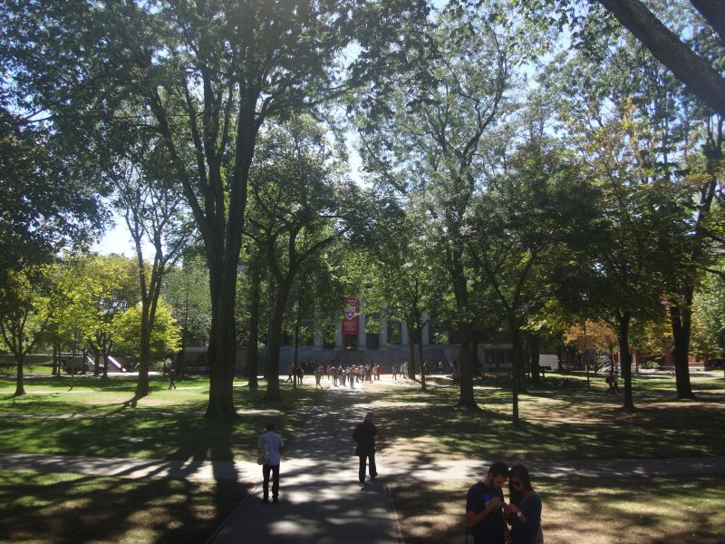 grüner Campus 