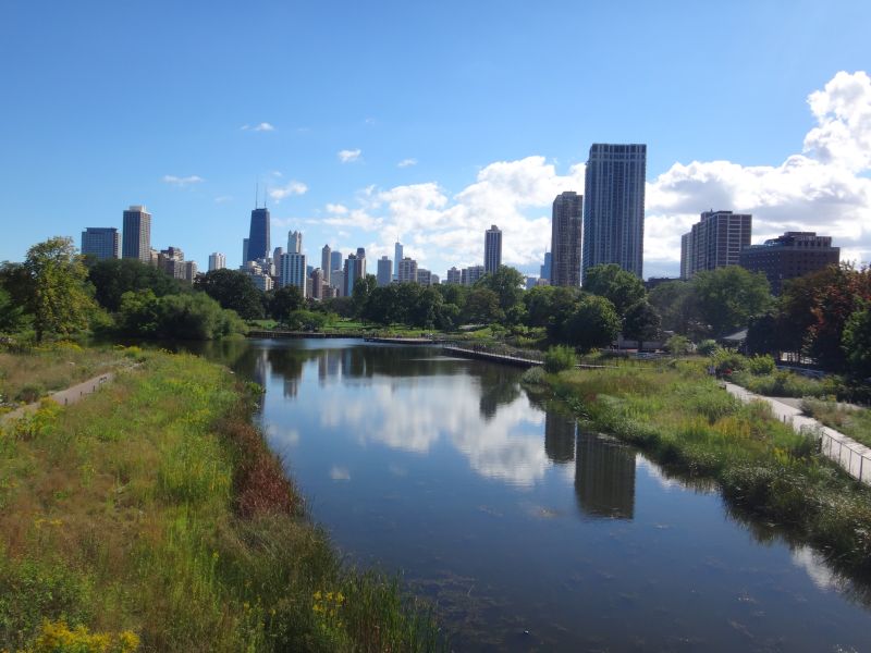 Aussicht auf Downtown vom Chicago Zoo 