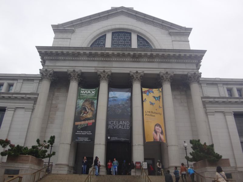 Das Smithsonian Museum of Natural History