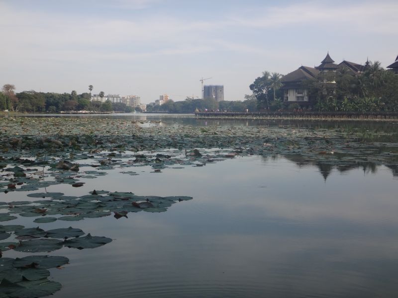 Im Kandawgyi Park 