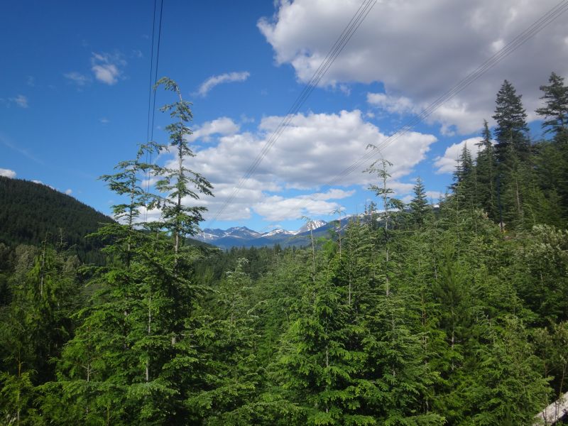 Whistler 