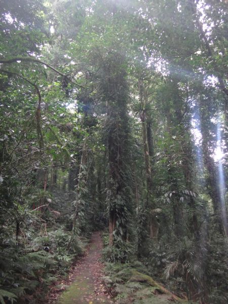 DSC02250   