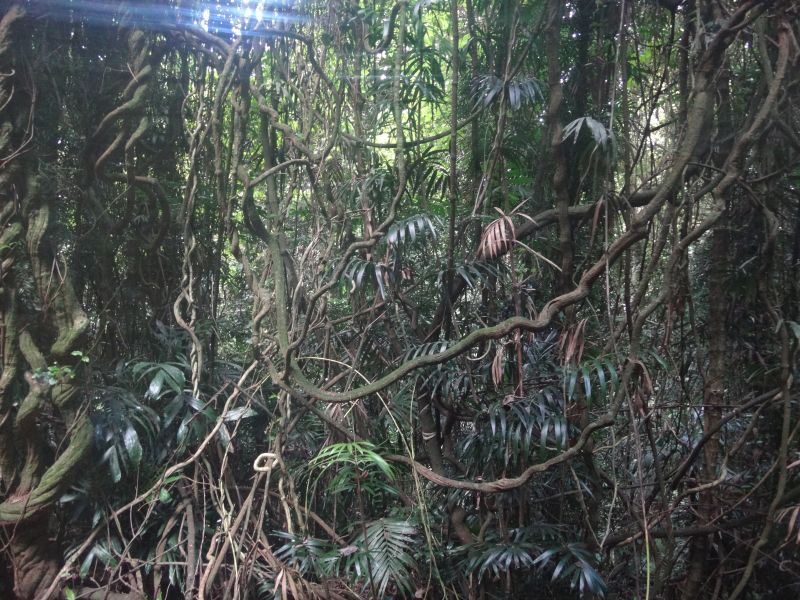 DSC02270   